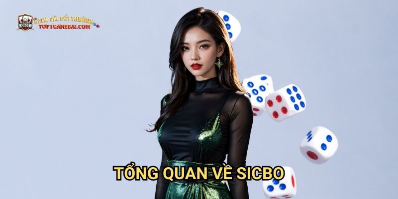 Tổng Quan Về Sicbo